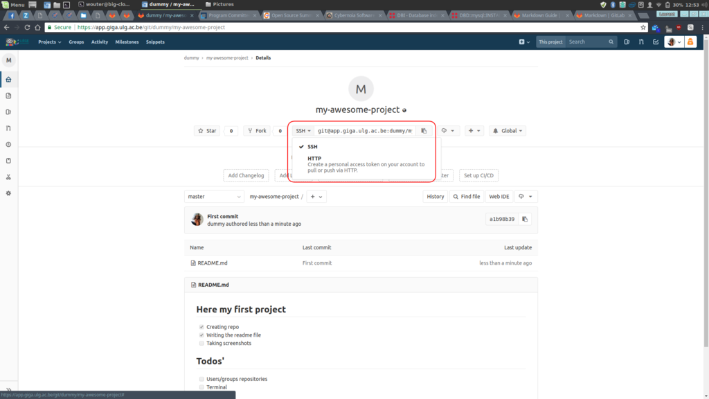 gitlab 08.png